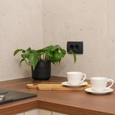 Lume Capi Apartment Labin (Istria)